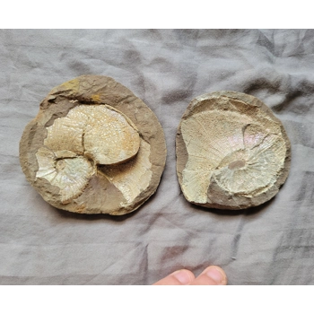 Very Rare Gem Scap..