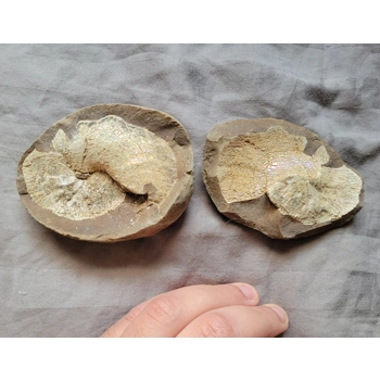 Very Rare Gem Scap..