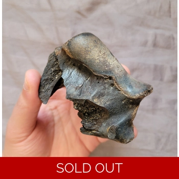 Ultra Rare Giant A..