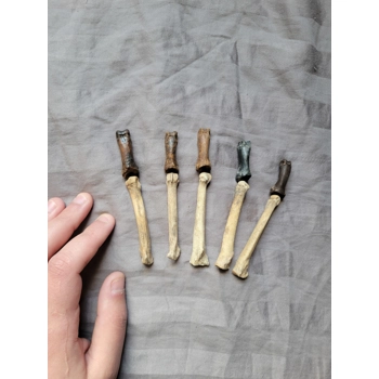 Very Rare Giant Be..