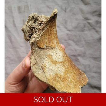 Ultra Rare Giant A..