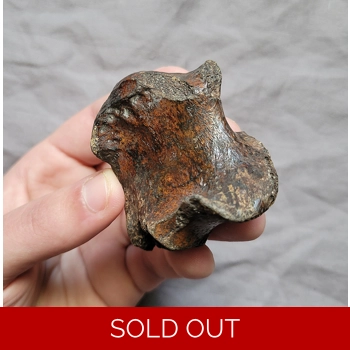 Ultra Rare Giant A..