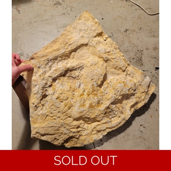 Ultra Rare Acrocan..