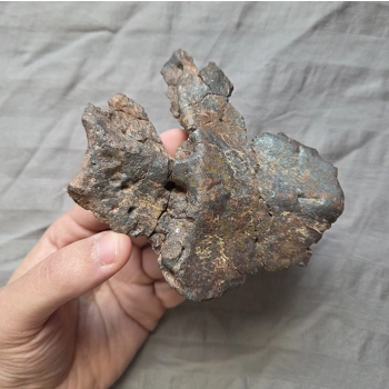 Rare Gorgeous Phyt..