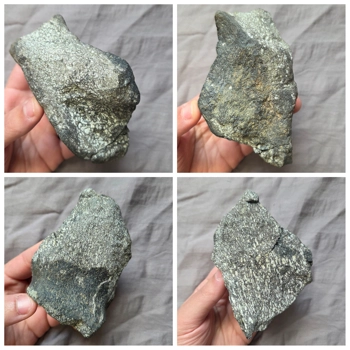 Rare Fossil Hadros..