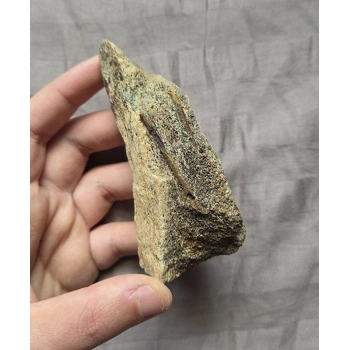 Rare Nice Dinosaur..