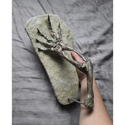 Ultra Rare Museum Quality Dimetrodon Leg And Foot With Claws Bone Fossil Permian