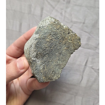 Rare Fossil Hadrosaur Verteb..