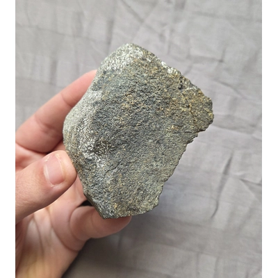 Rare Fossil Hadrosaur Vertebra Bone Partial Dinosaur Two Medicine Fm