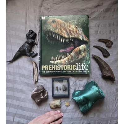 Ultimate Tyrannosaurus Rex T-Rex Dinosaur Fossil Gift Set Bone Teeth Claws