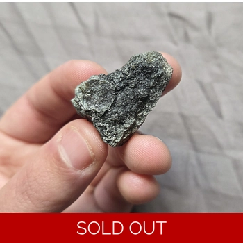 Ultra Rare Stegosa..