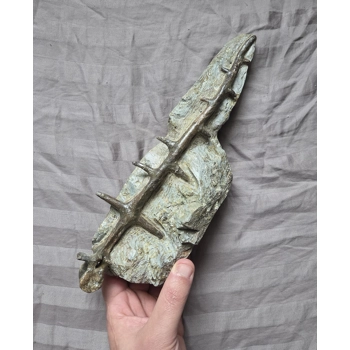 Ultra Rare Museum Quality Ed..