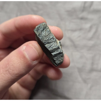 Ultra Rare Stegosa..