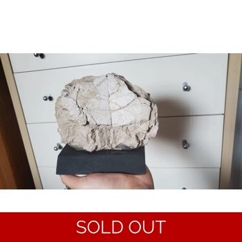 Big Partial Stylem..