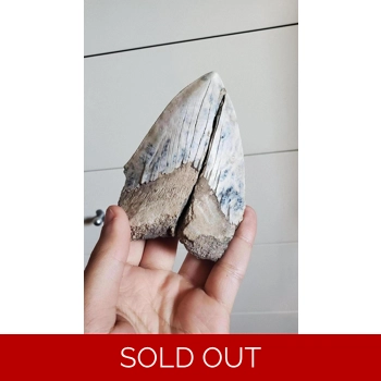 Bakersfield Califo..