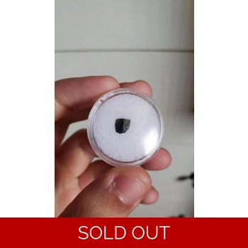 Very Rare Hadrosau..