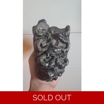 Rare Partial Gompo..