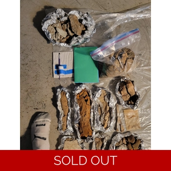 The Ultimate Dinos..