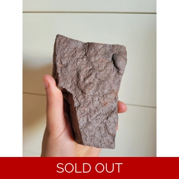 Rare New Jersey Ba..