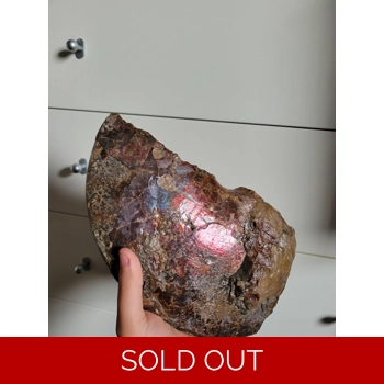 Huge Chunk Of Red ..