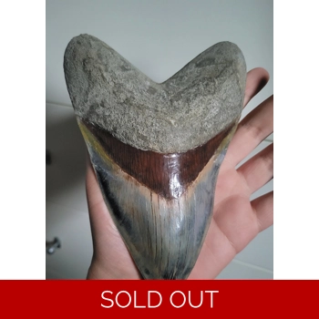 7 Inch + Monster M..