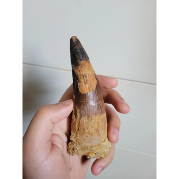 Large Chunky Rare ..