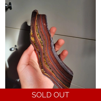 Stunning Gold Tige..