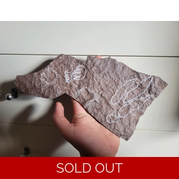 Rare New Jersey Gr..