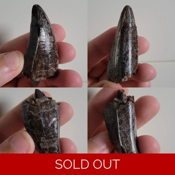 2inch+ Great Quali..