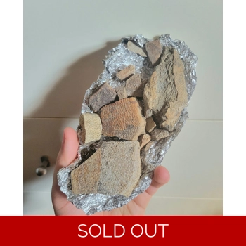 Cretaceous Fossil ..