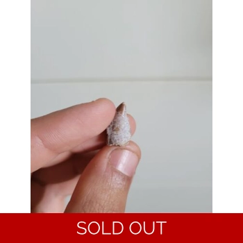 Bargain Rare Majun..