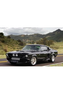 CANVAS SHELBY MUSTANG