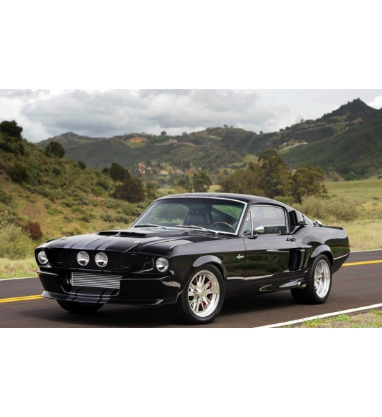 CANVAS SHELBY MUSTANG