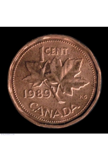 COIN 1989 CANADA PENNY