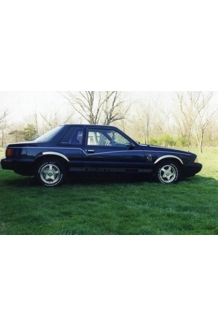 1990 MUSTANG