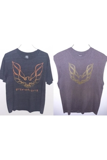 LARGE 2X FIREBIRD