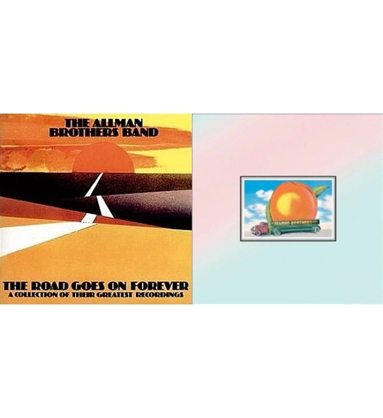 RECORD 2X THE ALLMAN BROTHERS BAND