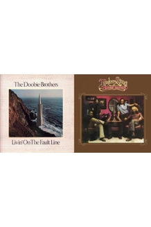 RECORD 2X THE DOOBIE BROTHERS