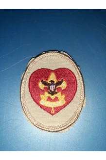 PATCH BSA RANK LIFE SCOUT