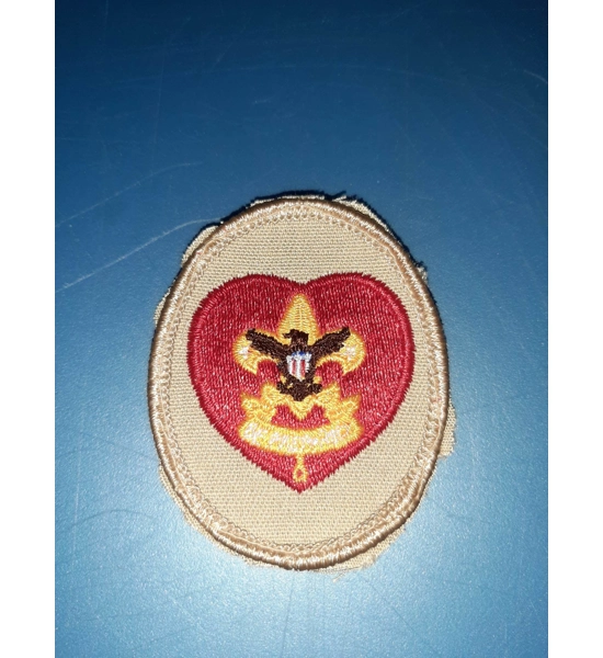 PATCH BSA RANK LIFE SCOUT