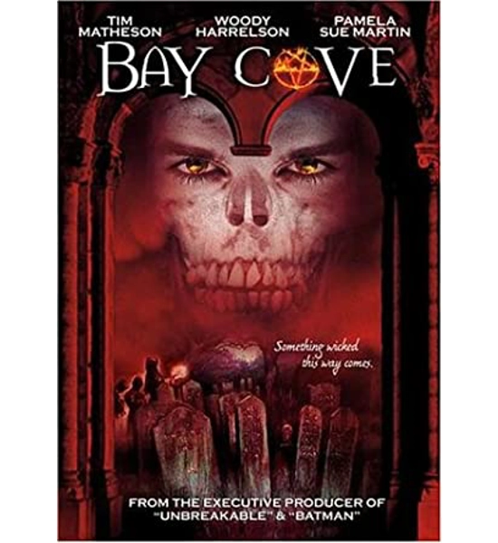 DVD BAY COVE