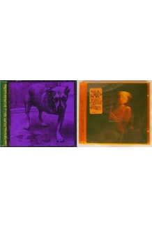 ALICE IN CHAINS 2X BEST