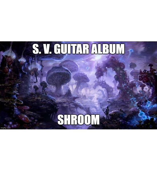 FULGORE ALBUM SHROOM