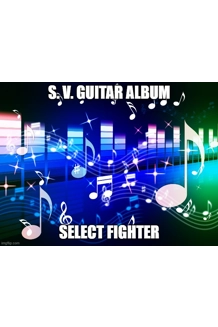 FULGORE ALBUM SELECT FIGHTER