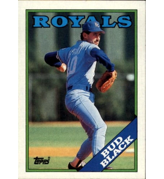 CARD BUD BLACK TOPPS 301