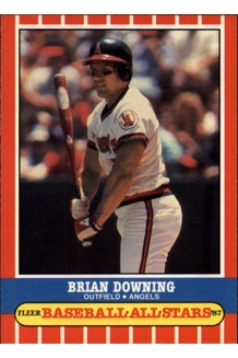 CARD BRIAN DOWNING FLEER