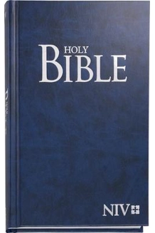 BOOK BIBLE NIV
