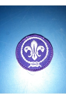 PATCH BSA