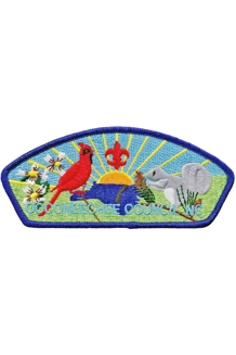 PATCH BSA CC CONEECHEE COUNCIL NC