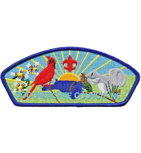 PATCH BSA CC CONEECHEE COUNCIL NC